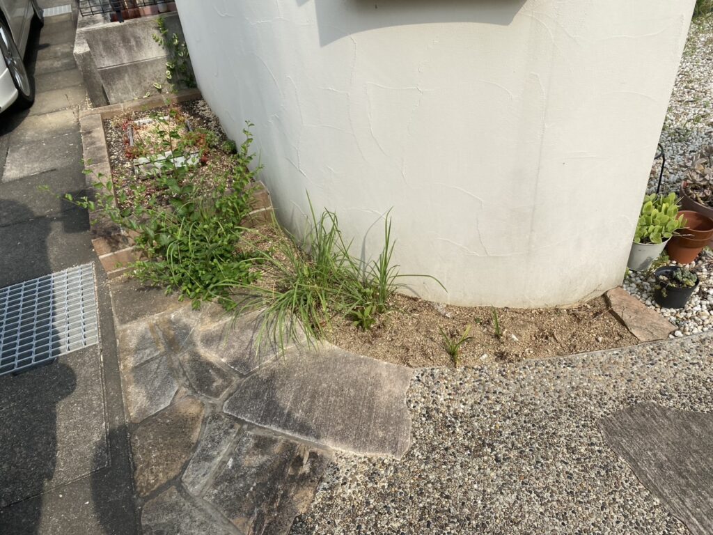 【高松市Ｉ様邸】雑草対策＆ドッグランリフォーム工事、本日着工⛑ (株)カインズガーデン｜香川の庭リフォーム工事，庭仕舞い