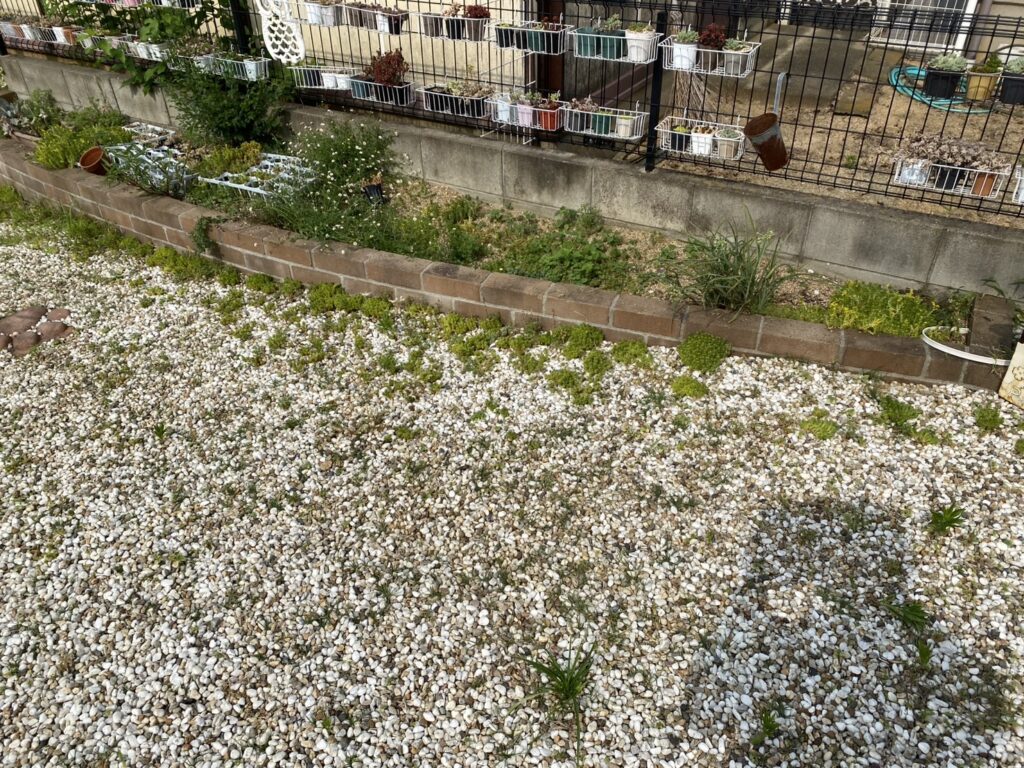 【高松市Ｉ様邸】雑草対策＆ドッグランリフォーム工事、本日着工⛑ (株)カインズガーデン｜香川の庭リフォーム工事，庭仕舞い