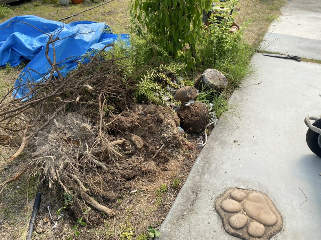 【高松市Ｉ様邸】雑草対策＆ドッグランリフォーム工事、本日着工⛑ (株)カインズガーデン｜香川の庭リフォーム工事，庭仕舞い