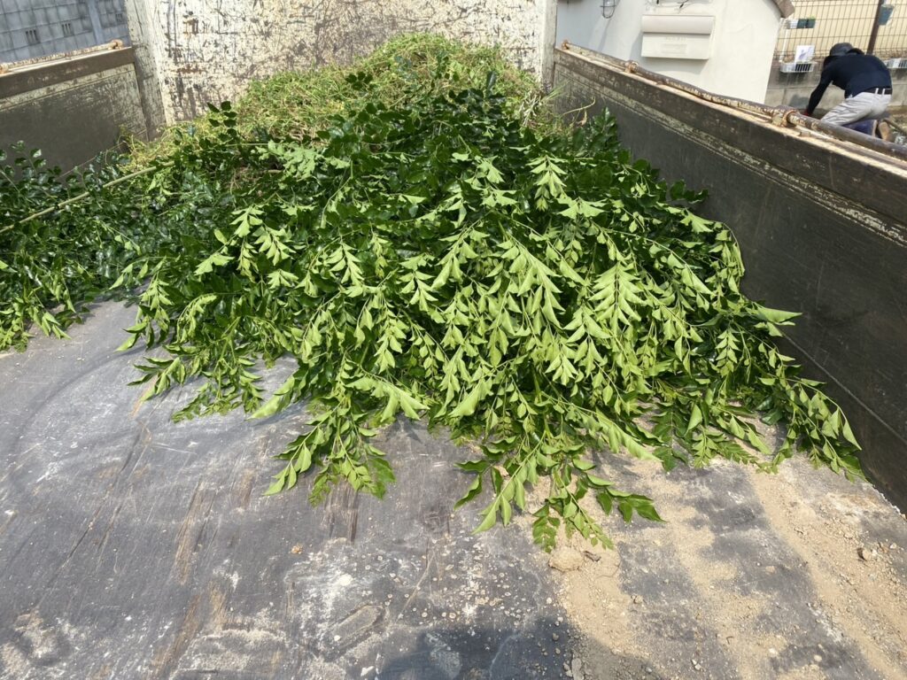 【高松市Ｉ様邸】雑草対策＆ドッグランリフォーム工事、本日着工⛑ (株)カインズガーデン｜香川の庭リフォーム工事，庭仕舞い