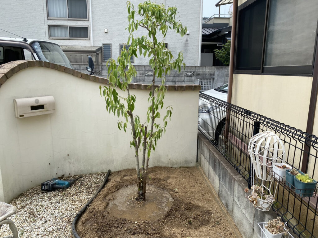 【高松市Ｉ様邸】雑草対策＆ドッグランリフォーム工事、本日着工⛑ (株)カインズガーデン｜香川の庭リフォーム工事，庭仕舞い