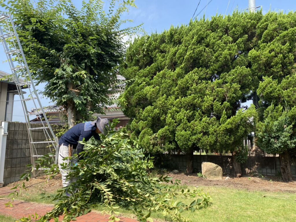 【高松市K様邸】人工芝や天然芝撤去し駐車場拡張&庭木伐採等、庭リフォーム工事着工⛑ (株)カインズガーデン|香川の庭仕舞い 【高松市K様邸】人工芝や天然芝撤去し駐車場拡張&庭木伐採等、庭リフォーム工事着工⛑ (株)カインズガーデン|香川の庭仕舞い