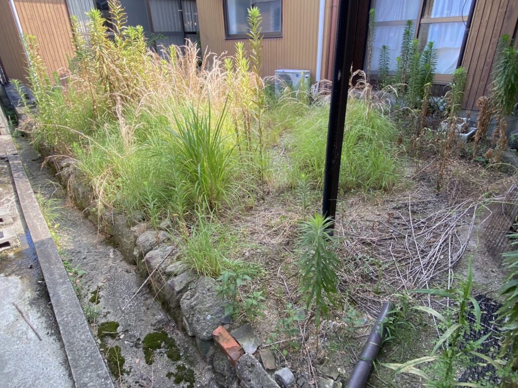 【多度津町Y様邸】庭木や雑草撤去し雑草対策✊本日着工⛑ (株)カインズガーデン|香川県の雑草対策工事,庭仕舞い工事 【多度津町Y様邸】庭木や雑草撤去し雑草対策✊本日着工⛑ (株)カインズガーデン|香川県の雑草対策工事,庭仕舞い工事