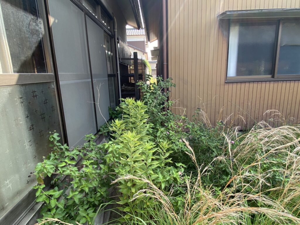 【多度津町Y様邸】庭木や雑草撤去し雑草対策✊本日着工⛑ (株)カインズガーデン|香川県の雑草対策工事,庭仕舞い工事 【多度津町Y様邸】庭木や雑草撤去し雑草対策✊本日着工⛑ (株)カインズガーデン|香川県の雑草対策工事,庭仕舞い工事