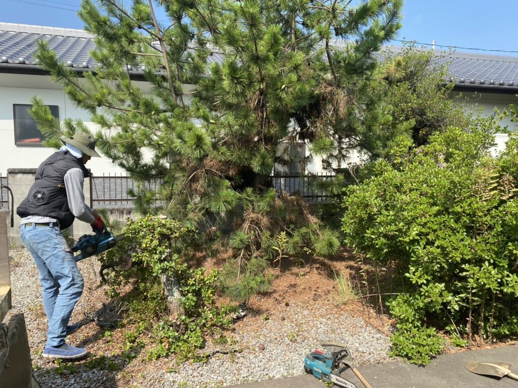 【多度津町Y様邸】庭木や雑草撤去し雑草対策✊本日着工⛑ (株)カインズガーデン|香川県の雑草対策工事,庭仕舞い工事 【多度津町Y様邸】庭木や雑草撤去し雑草対策✊本日着工⛑ (株)カインズガーデン|香川県の雑草対策工事,庭仕舞い工事