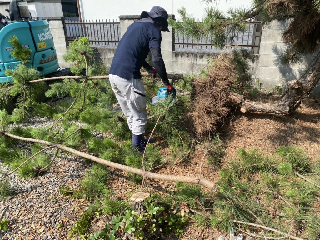 【多度津町Y様邸】庭木や雑草撤去し雑草対策✊本日着工⛑ (株)カインズガーデン|香川県の雑草対策工事,庭仕舞い工事 【多度津町Y様邸】庭木や雑草撤去し雑草対策✊本日着工⛑ (株)カインズガーデン|香川県の雑草対策工事,庭仕舞い工事