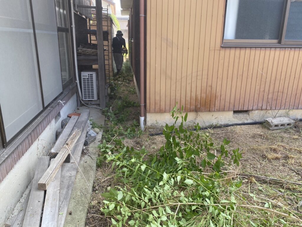 【多度津町Y様邸】庭木や雑草撤去し雑草対策✊本日着工⛑ (株)カインズガーデン|香川県の雑草対策工事,庭仕舞い工事 【多度津町Y様邸】庭木や雑草撤去し雑草対策✊本日着工⛑ (株)カインズガーデン|香川県の雑草対策工事,庭仕舞い工事