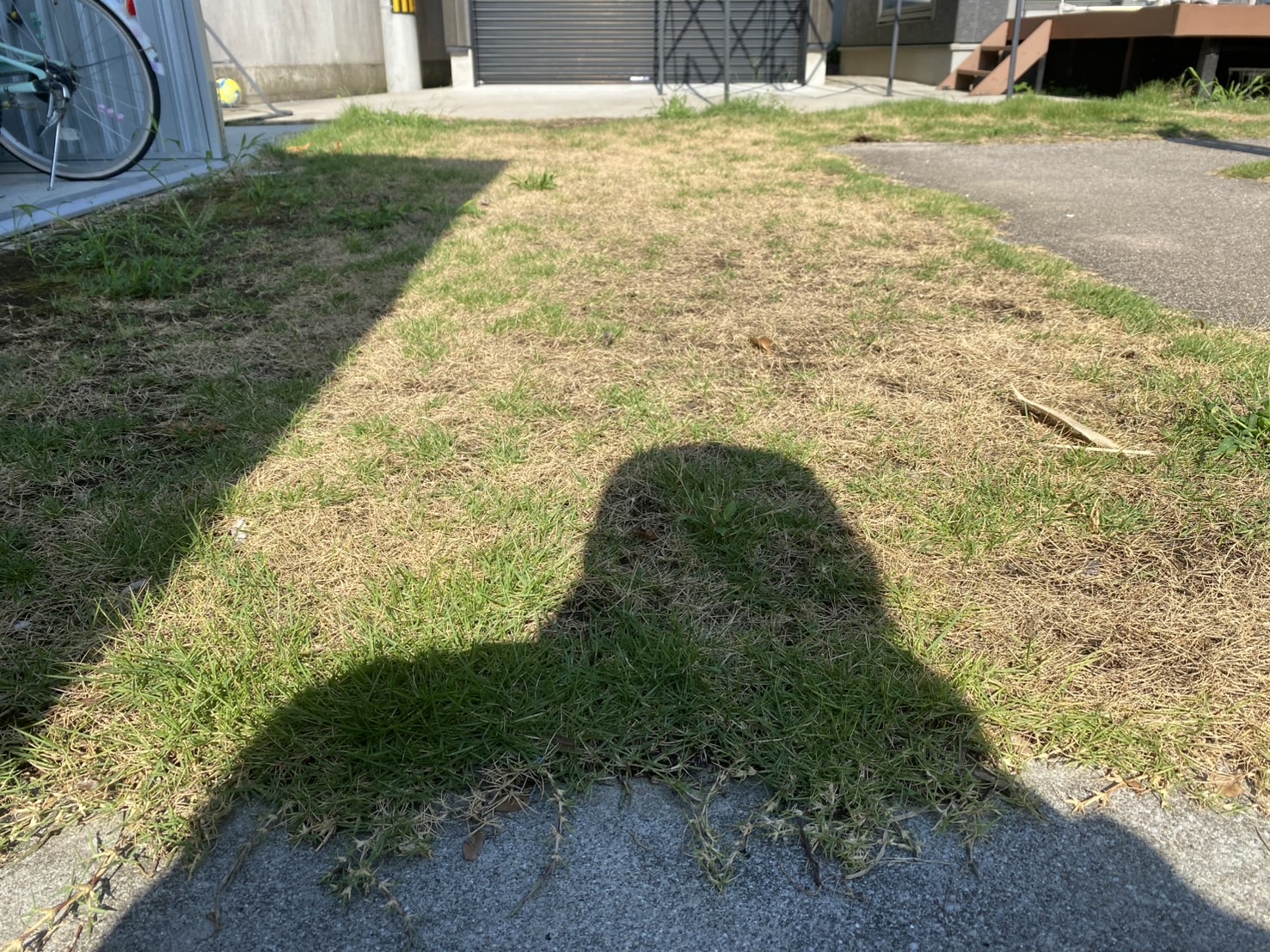 【綾川町Ｏ様邸】天然芝を撤去し、高品質人工芝にリフォーム⛑本日着工です (株)カインズガーデン｜香川県の庭リフォーム工事