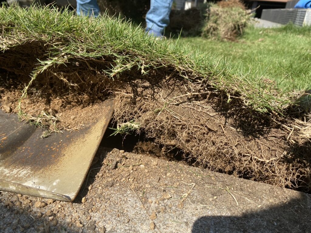 【綾川町Ｏ様邸】天然芝を撤去し、高品質人工芝にリフォーム⛑本日着工です (株)カインズガーデン｜香川県の庭リフォーム工事