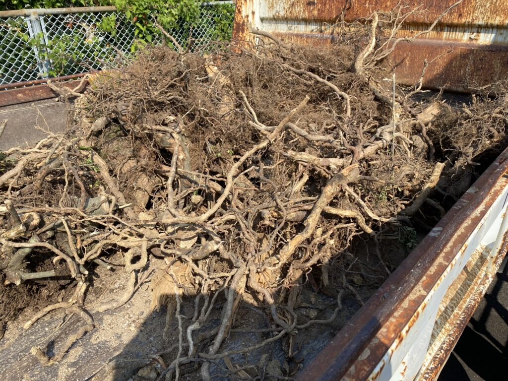 【綾川町ＭＯ様邸】石垣・石の門柱撤去完了✨坪庭解体も順調です (株)カインズガーデン｜香川県の庭リフォーム工事