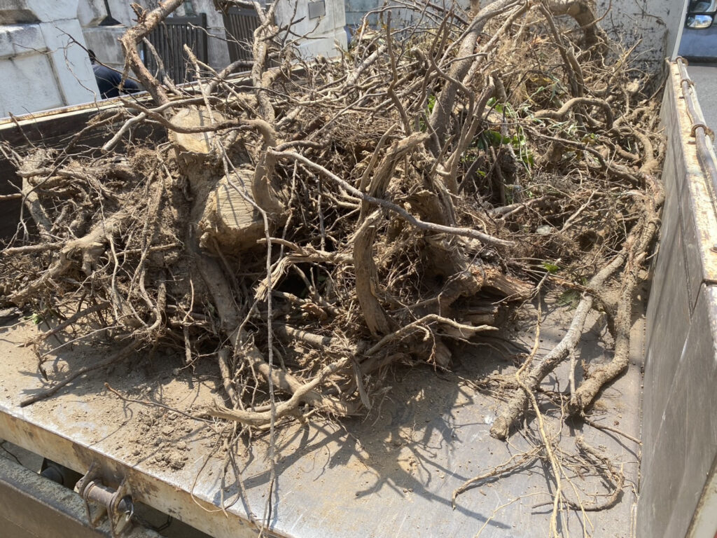 【綾川町ＭＩ様邸】庭石を活かし、風情あるお庭へ✨庭石再配置完了 (株)カインズガーデン｜香川の庭リフォーム工事，庭仕舞い