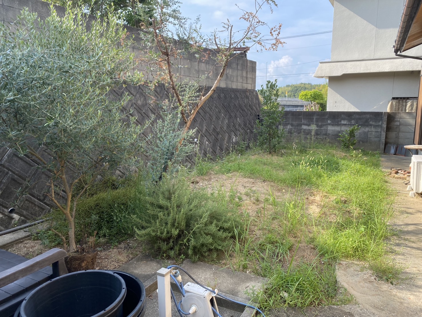 【高松市Ｈ様邸】雑草撤去・植栽撤去＆移設🌱雑草対策工事着工⛑ (株)カインズガーデン｜香川県の庭リフォーム，庭仕舞い