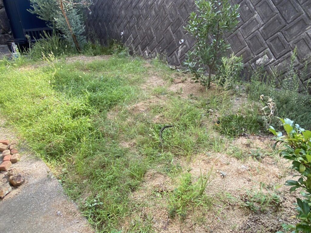 【高松市Ｈ様邸】雑草撤去・植栽撤去＆移設🌱雑草対策工事着工⛑ (株)カインズガーデン｜香川県の庭リフォーム，庭仕舞い