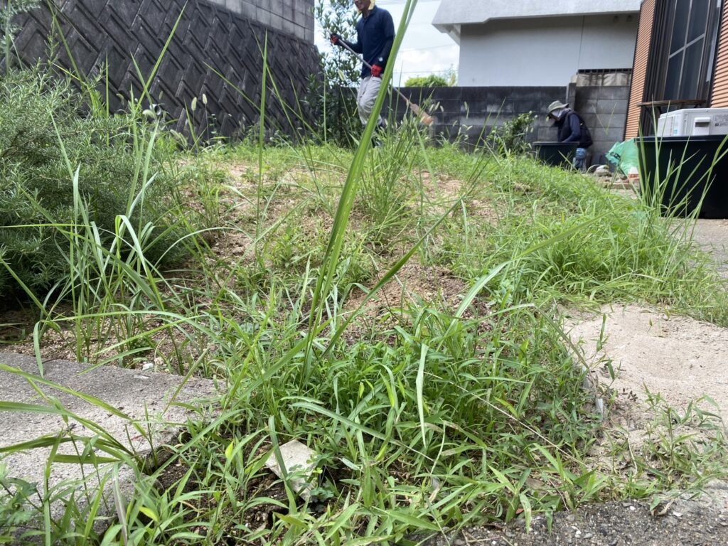 【高松市Ｈ様邸】雑草撤去・植栽撤去＆移設🌱雑草対策工事着工⛑ (株)カインズガーデン｜香川県の庭リフォーム，庭仕舞い