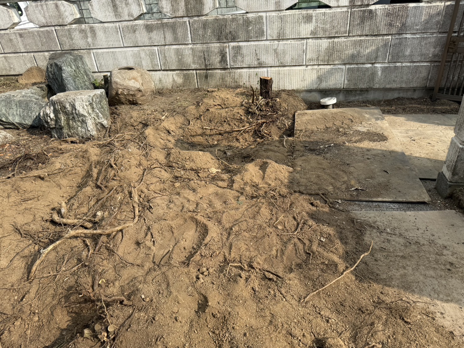 【綾川町ＭＩ様邸】庭石を活かし、風情あるお庭へ✨庭石再配置完了 (株)カインズガーデン｜香川の庭リフォーム工事，庭仕舞い