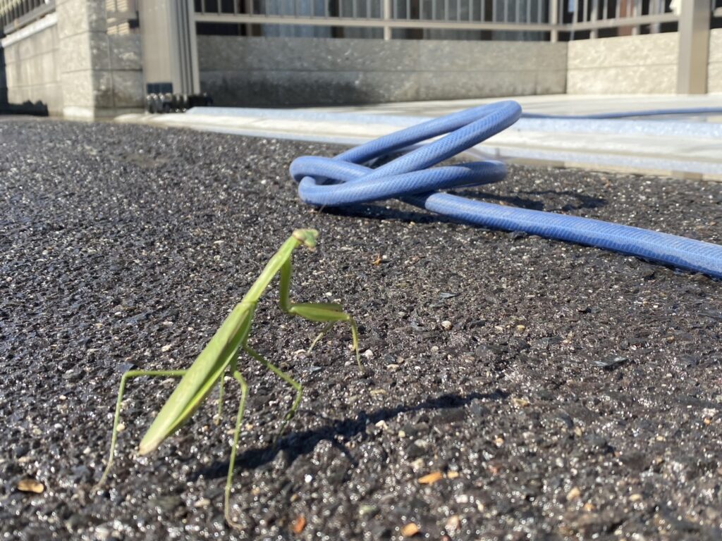 【綾川町ＭＯ様邸】新・駐車場周りのフェンスや門扉・カーポート仕上げ中 (株)カインズガーデン｜香川県の庭リフォーム工事