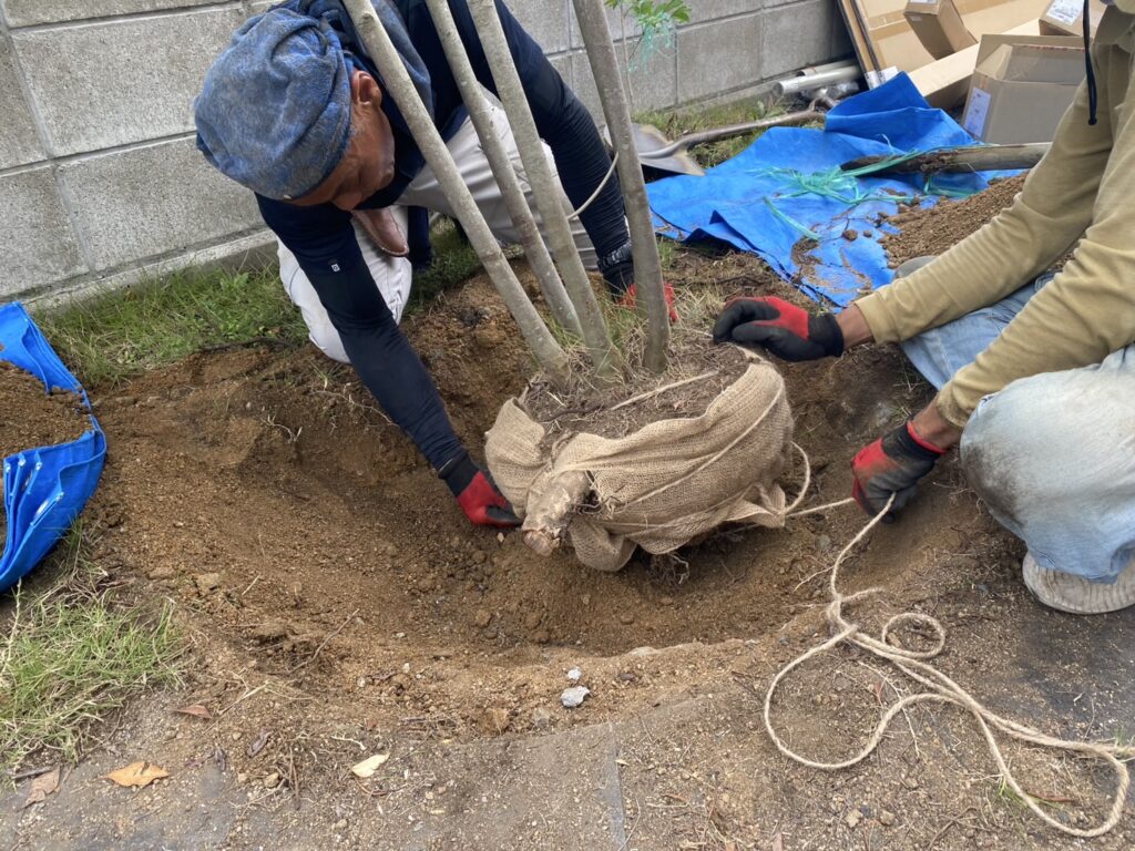 【坂出市A様邸】植栽移設&カーポートやテラス設置中 (株)カインズガーデン|香川県の庭リフォーム工事,エクステリア工事 【坂出市A様邸】植栽移設&カーポートやテラス設置中 (株)カインズガーデン|香川県の庭リフォーム工事,エクステリア工事