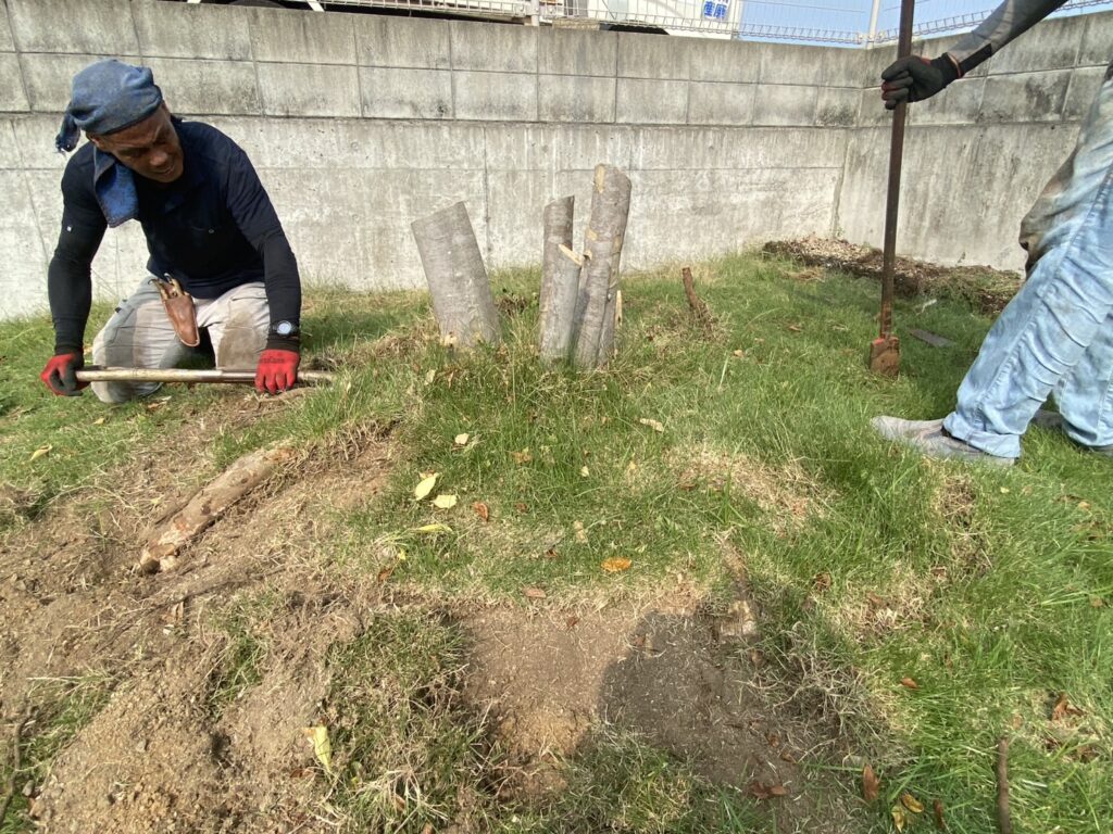 【観音寺市Ｓ様邸】裏庭の庭木撤去・花壇撤去しタクボ物置設置、本日着工⛑ (株)カインズガーデン｜香川県の庭リフォーム工事