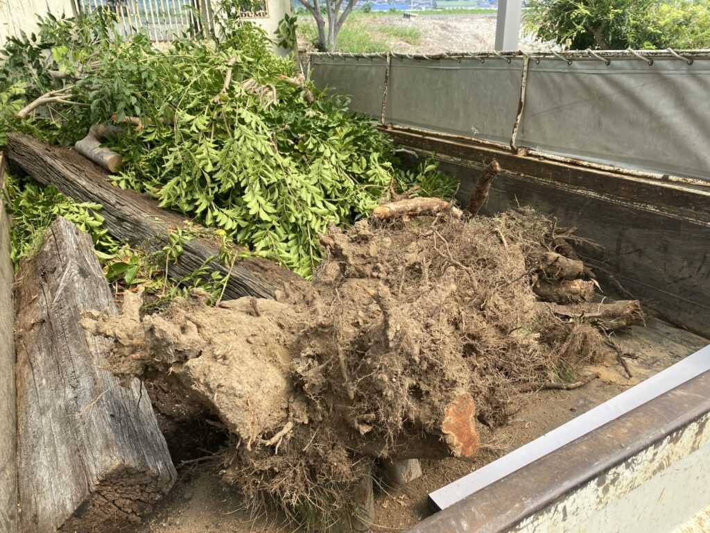 【観音寺市Ｓ様邸】裏庭の庭木撤去・花壇撤去しタクボ物置設置、本日着工⛑ (株)カインズガーデン｜香川県の庭リフォーム工事