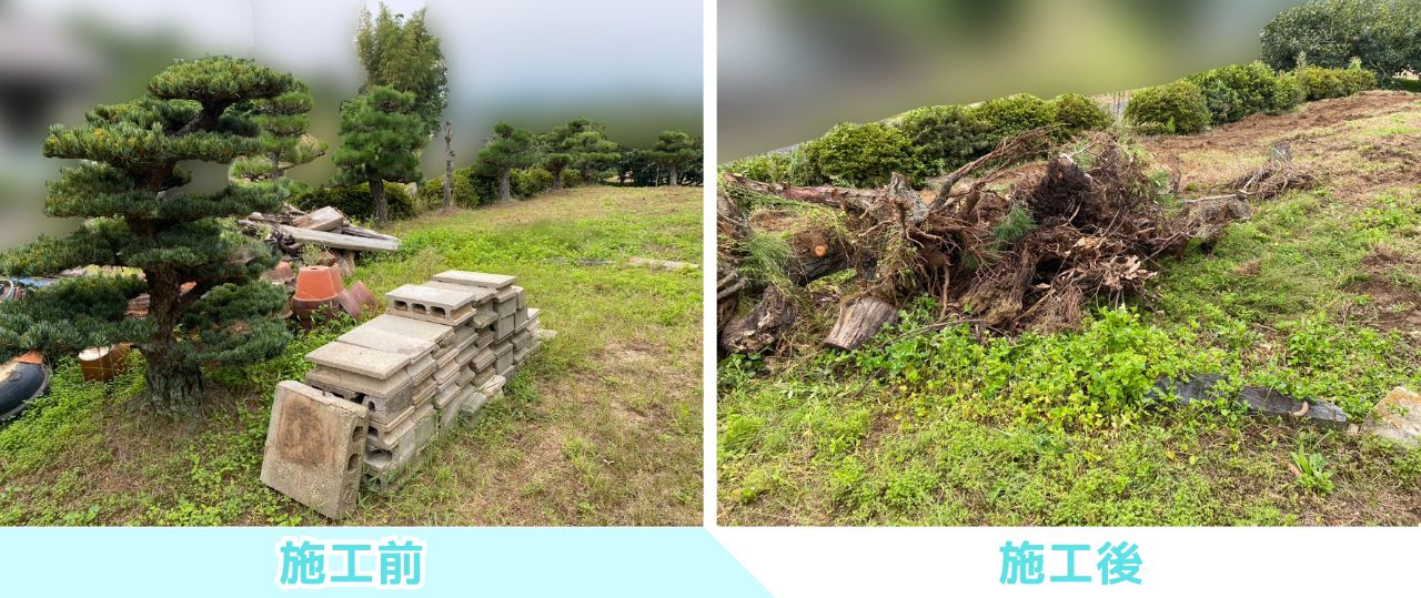 【綾川町K様邸】おじいちゃんの松・巨大モチノキもスッキリ✨庭仕舞い工事㊗完工 (株)カインズガーデン|香川の庭リフォーム 【綾川町K様邸】おじいちゃんの松・巨大モチノキもスッキリ✨庭仕舞い工事㊗完工 (株)カインズガーデン|香川の庭リフォーム