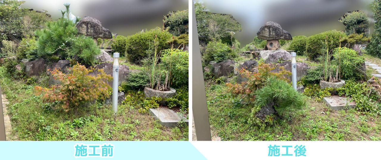 【綾川町K様邸】おじいちゃんの松・巨大モチノキもスッキリ✨庭仕舞い工事㊗完工 (株)カインズガーデン|香川の庭リフォーム 【綾川町K様邸】おじいちゃんの松・巨大モチノキもスッキリ✨庭仕舞い工事㊗完工 (株)カインズガーデン|香川の庭リフォーム