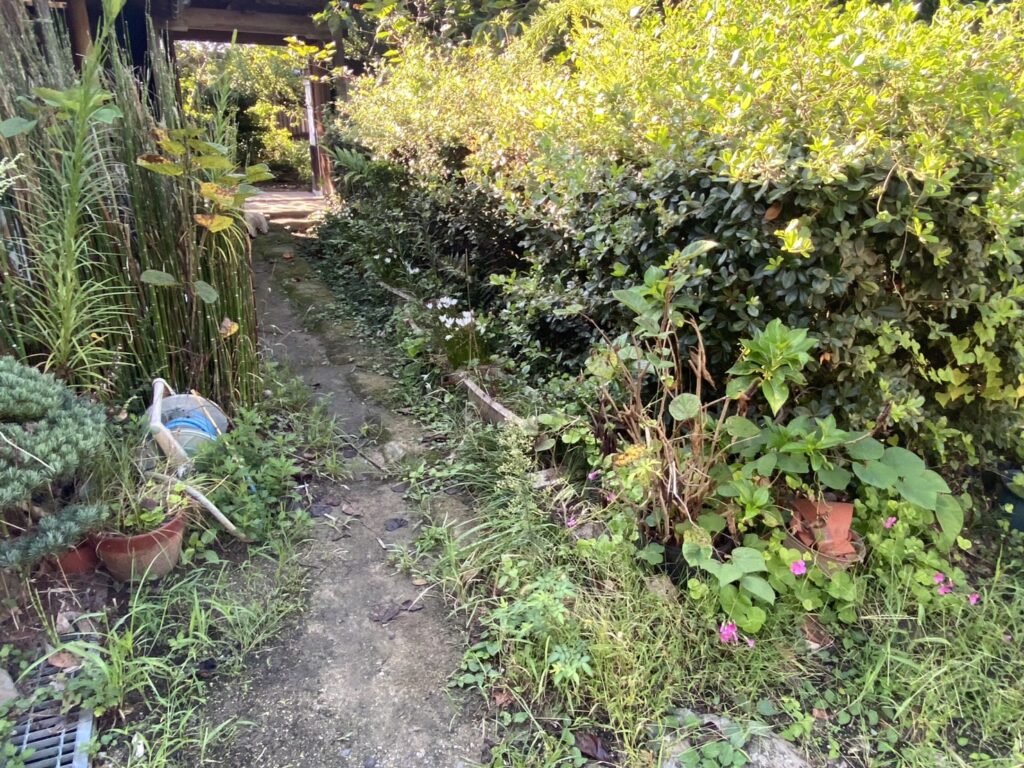 【三豊市Ｓ様邸】「花壇が草山！元々の地面の状態に戻したい」庭リフォーム工事着工⛑ (株)カインズガーデン｜香川の庭仕舞い