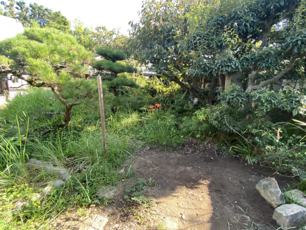 【三豊市Ｓ様邸】「花壇が草山！元々の地面の状態に戻したい」庭リフォーム工事着工⛑ (株)カインズガーデン｜香川の庭仕舞い