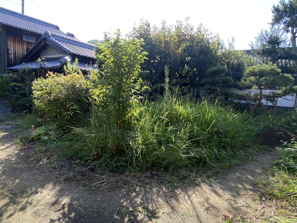 【三豊市Ｓ様邸】「花壇が草山！元々の地面の状態に戻したい」庭リフォーム工事着工⛑ (株)カインズガーデン｜香川の庭仕舞い