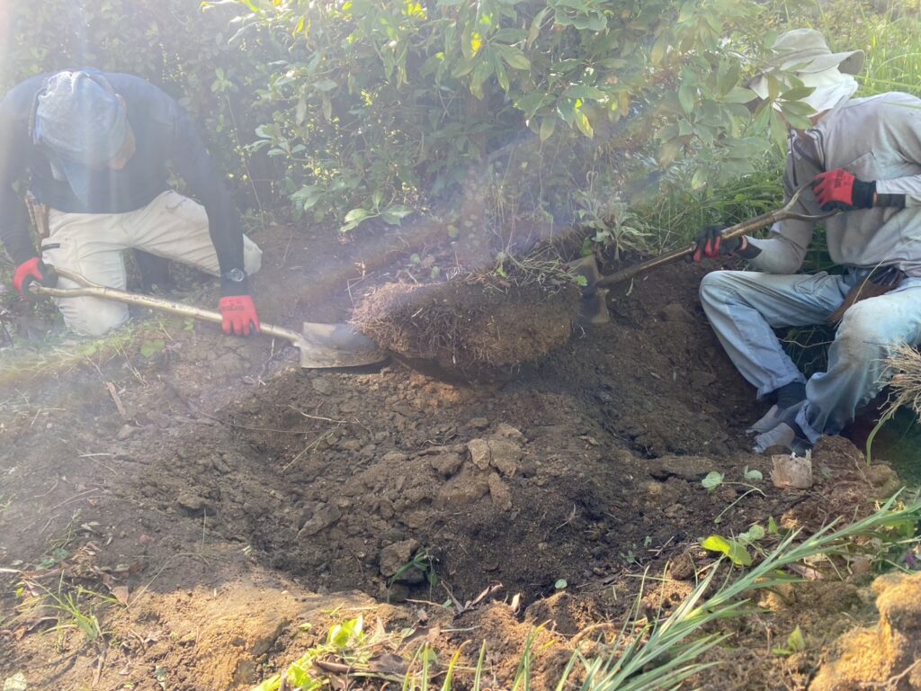 【三豊市Ｓ様邸】「花壇が草山！元々の地面の状態に戻したい」庭リフォーム工事着工⛑ (株)カインズガーデン｜香川の庭仕舞い