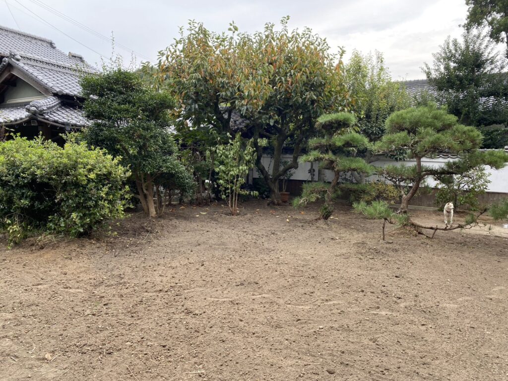 【三豊市S様邸】スッキリ綺麗な土の地面はウン年ぶり✨庭仕舞い工事㊗完工 (株)カインズガーデン|香川県の庭リフォーム工事 【三豊市S様邸】スッキリ綺麗な土の地面はウン年ぶり✨庭仕舞い工事㊗完工 (株)カインズガーデン|香川県の庭リフォーム工事