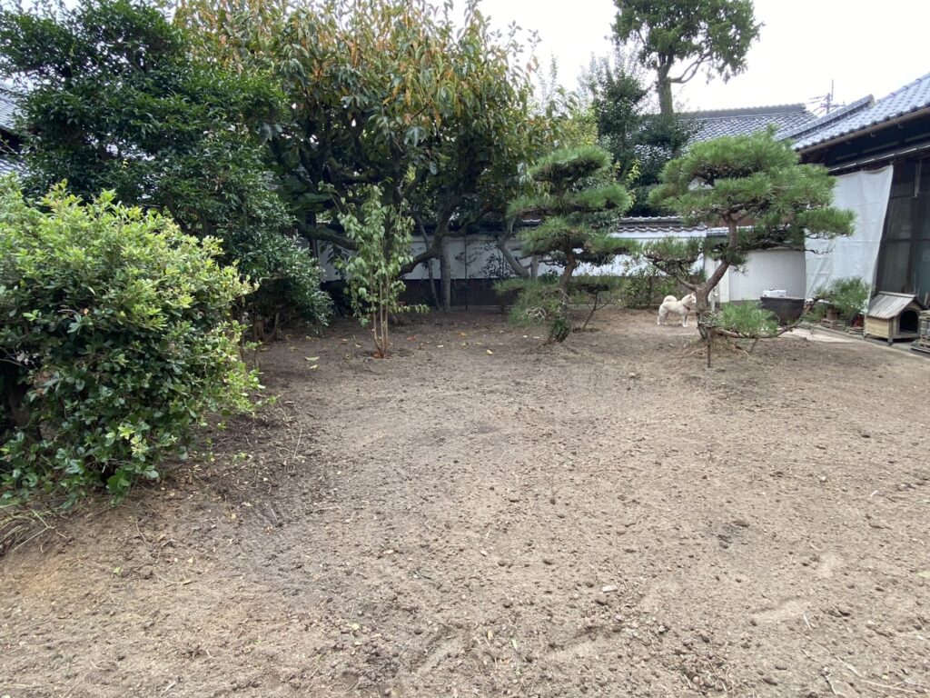 【三豊市S様邸】スッキリ綺麗な土の地面はウン年ぶり✨庭仕舞い工事㊗完工 (株)カインズガーデン|香川県の庭リフォーム工事 【三豊市S様邸】スッキリ綺麗な土の地面はウン年ぶり✨庭仕舞い工事㊗完工 (株)カインズガーデン|香川県の庭リフォーム工事