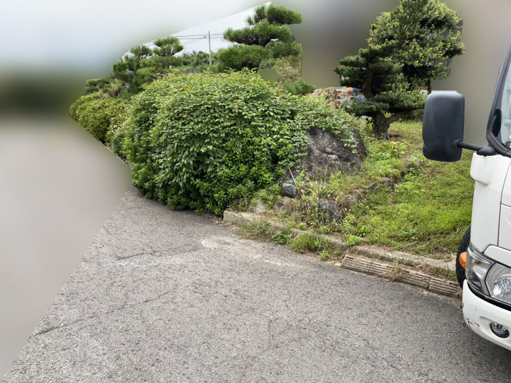 【綾川町Ｋ様邸】「おじいちゃんの松が沢山。剪定や伐採で松をどうにかしたい」庭仕舞い工事着工⛑ (株)カインズガーデン