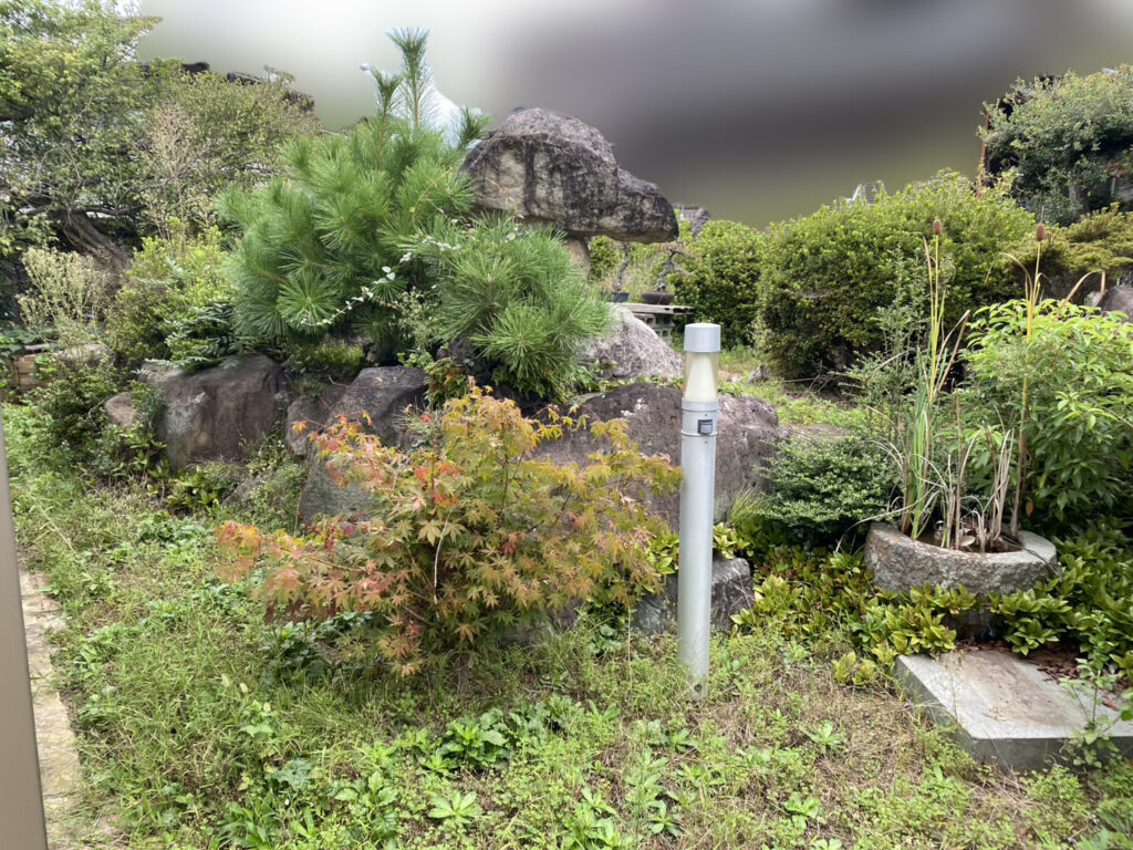 【綾川町Ｋ様邸】「おじいちゃんの松が沢山。剪定や伐採で松をどうにかしたい」庭仕舞い工事着工⛑ (株)カインズガーデン
