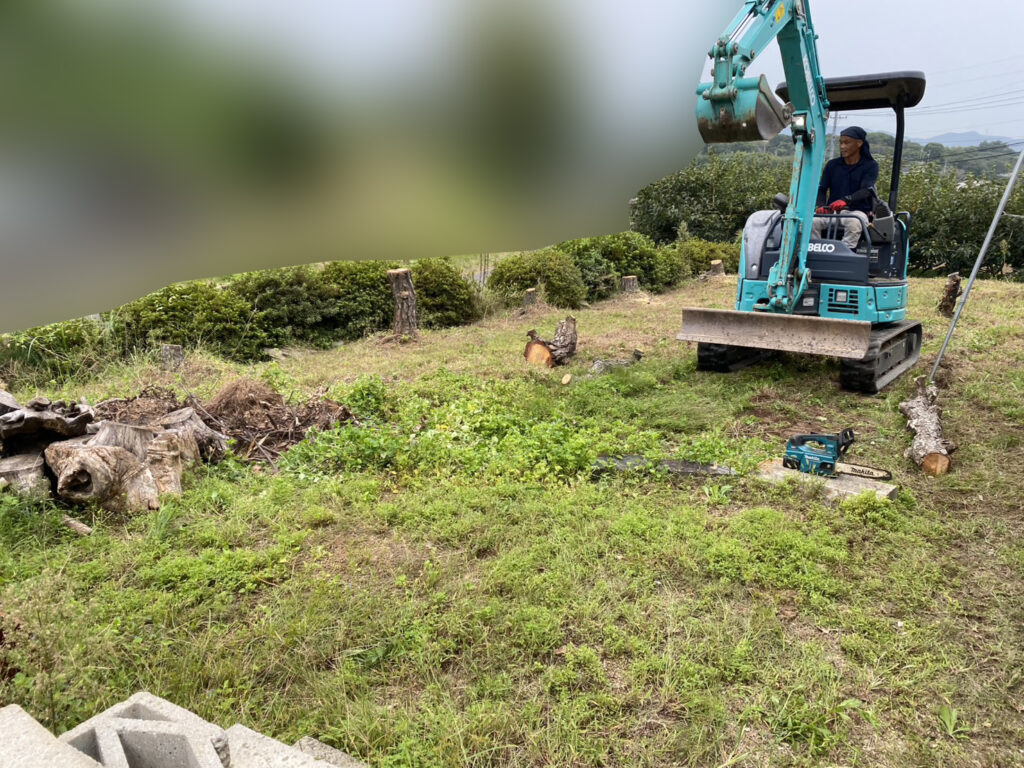 【綾川町Ｋ様邸】「おじいちゃんの松が沢山。剪定や伐採で松をどうにかしたい」庭仕舞い工事着工⛑ (株)カインズガーデン