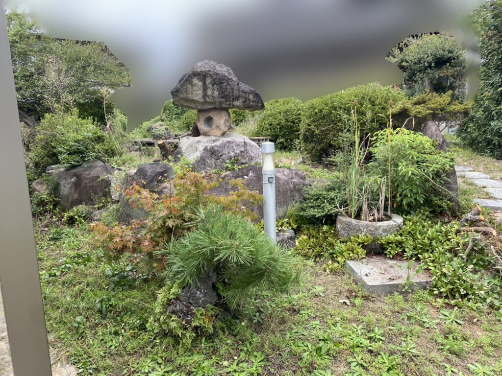 【綾川町K様邸】庭木の中でも一際目立つ、大きなモチノキ撤去開始 (株)カインズガーデン|香川県の庭仕舞い工事 【綾川町K様邸】庭木の中でも一際目立つ、大きなモチノキ撤去開始 (株)カインズガーデン|香川県の庭仕舞い工事