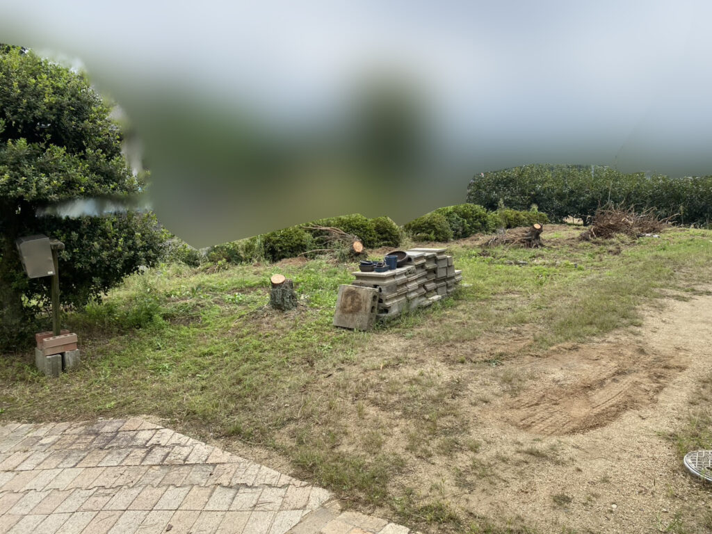 【綾川町Ｋ様邸】庭木の中でも一際目立つ、大きなモチノキ撤去開始 (株)カインズガーデン｜香川県の庭仕舞い工事