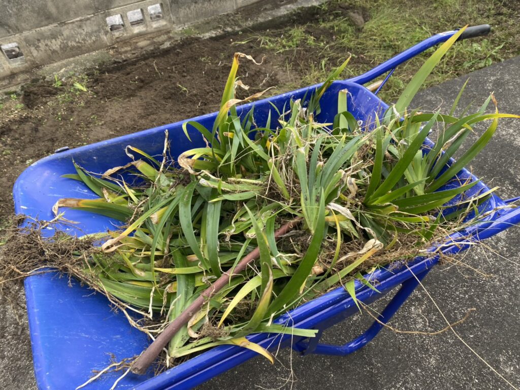 【綾川町SI様邸】「花壇をスッキリし草が生えないように」庭仕舞い着工⛑ (株)カインズガーデン|香川県の庭リフォーム工事 【綾川町SI様邸】「花壇をスッキリし草が生えないように」庭仕舞い着工⛑ (株)カインズガーデン|香川県の庭リフォーム工事