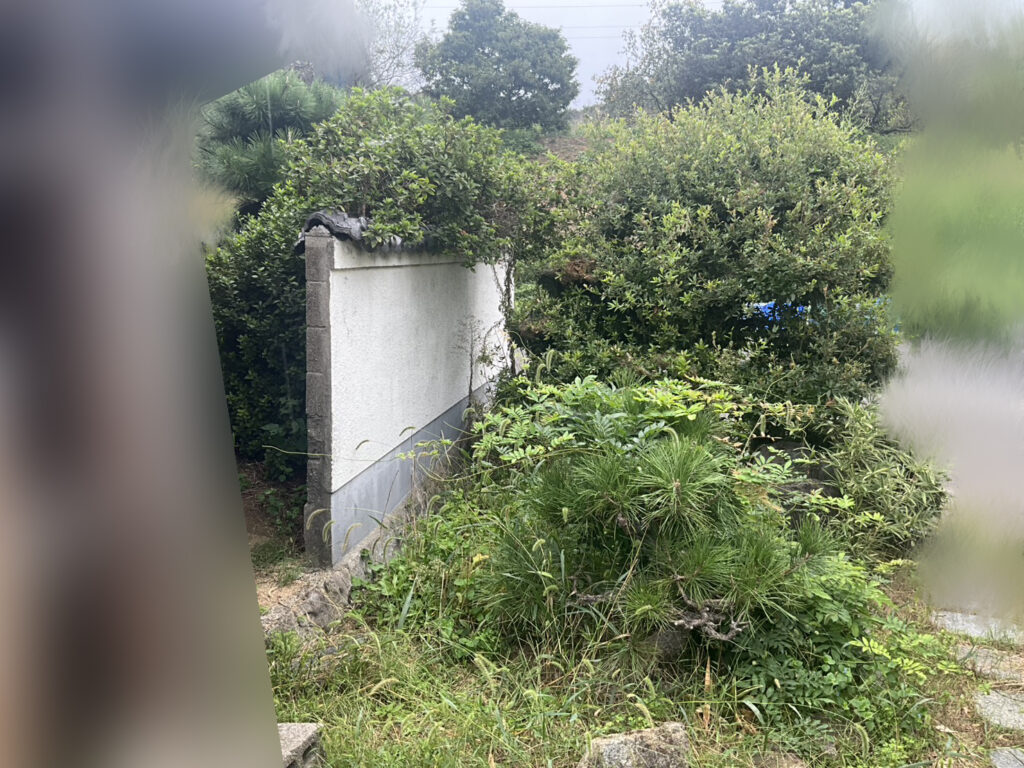 【綾川町Ｋ様邸】「おじいちゃんの松が沢山。剪定や伐採で松をどうにかしたい」庭仕舞い工事着工⛑ (株)カインズガーデン