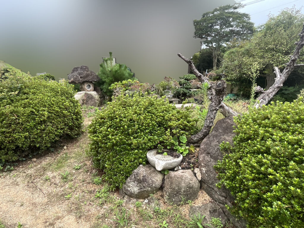 【綾川町Ｋ様邸】「おじいちゃんの松が沢山。剪定や伐採で松をどうにかしたい」庭仕舞い工事着工⛑ (株)カインズガーデン