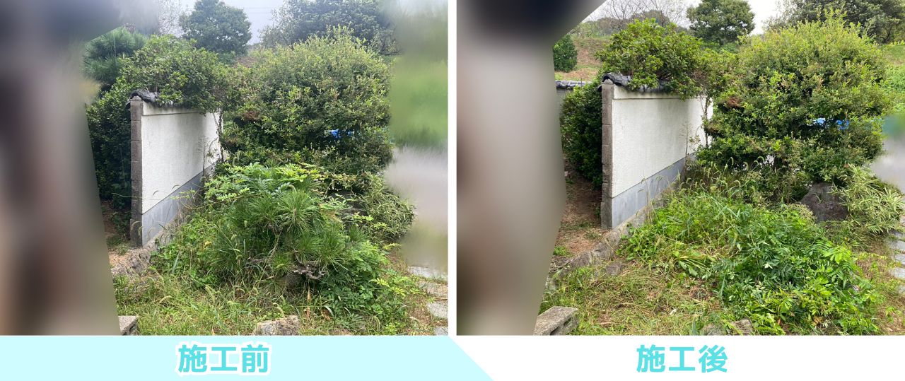 【綾川町K様邸】おじいちゃんの松・巨大モチノキもスッキリ✨庭仕舞い工事㊗完工 (株)カインズガーデン|香川の庭リフォーム 【綾川町K様邸】おじいちゃんの松・巨大モチノキもスッキリ✨庭仕舞い工事㊗完工 (株)カインズガーデン|香川の庭リフォーム