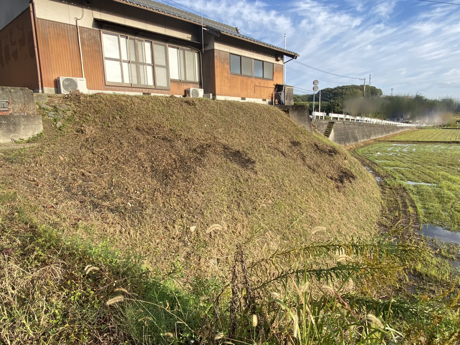 【綾川町内公民館裏の法面】自治会長Ｍ様より法面雑草対策工事、着工⛑ (株)カインズガーデン｜香川県の庭仕舞い工事