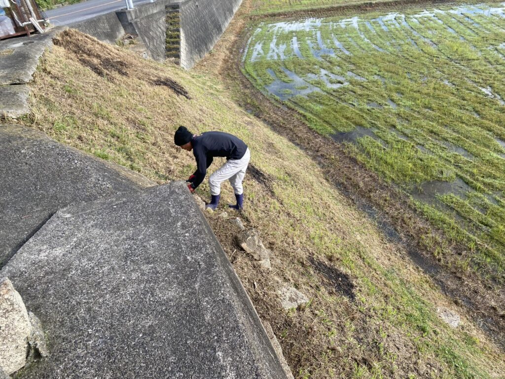 【綾川町内公民館裏の法面】自治会長Ｍ様より法面雑草対策工事、着工⛑ (株)カインズガーデン｜香川県の庭仕舞い工事
