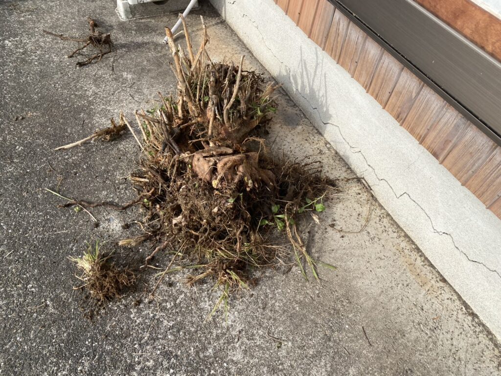 【綾川町内公民館裏の法面】自治会長Ｍ様より法面雑草対策工事、着工⛑ (株)カインズガーデン｜香川県の庭仕舞い工事