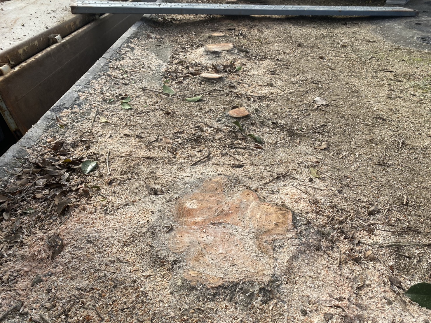 【綾川町Ｙ様邸】駐車場拡張工事｜生垣や庭木、既存カーポート撤去完了👌 (株)カインズガーデン｜香川県の庭仕舞い工事