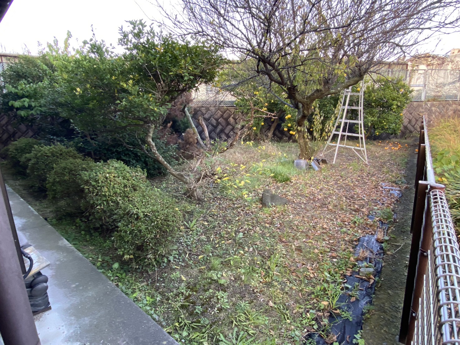 【綾川町Ｍ様邸】庭仕舞い工事着工⛑｜庭木撤去や雑草対策，駐車場拡張，物置移設 (株)カインズガーデン｜香川の庭仕舞い