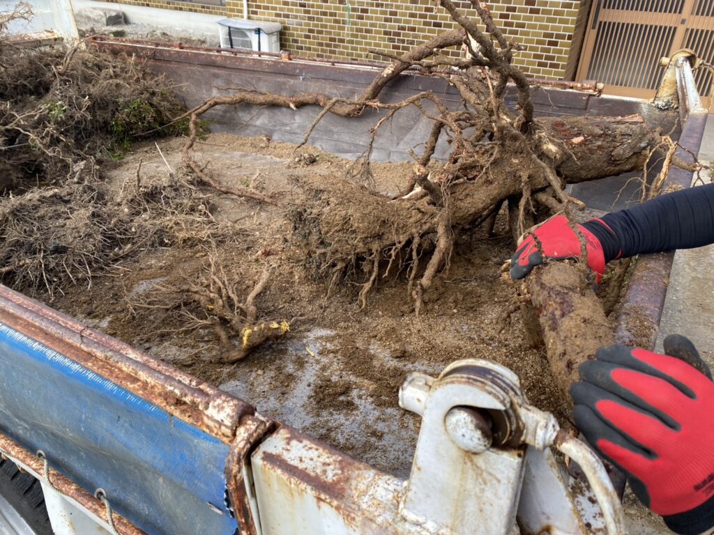 【綾川町Ｍ様邸】庭仕舞い＆駐車場拡張工事｜庭木や植栽・庭石を撤去し、駐車スペースを広げます (株)カインズガーデン