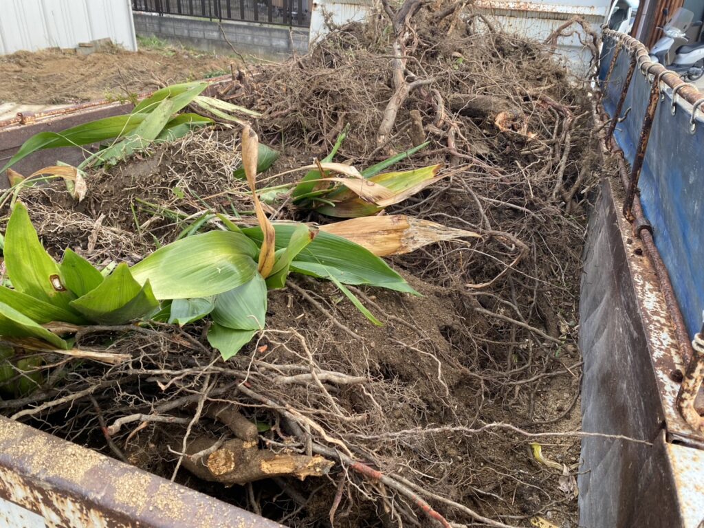 【綾川町Ｍ様邸】庭仕舞い＆駐車場拡張工事｜庭木や植栽・庭石を撤去し、駐車スペースを広げます (株)カインズガーデン