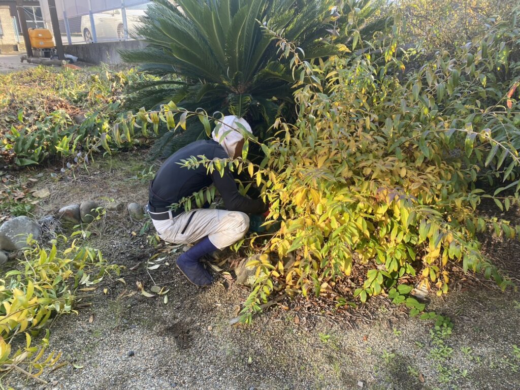 【綾川町Ｍ様邸・Ｙ様邸】駐車場拡張＆庭仕舞い工事｜庭木植栽や既存物撤去し駐車スペースを拡張します