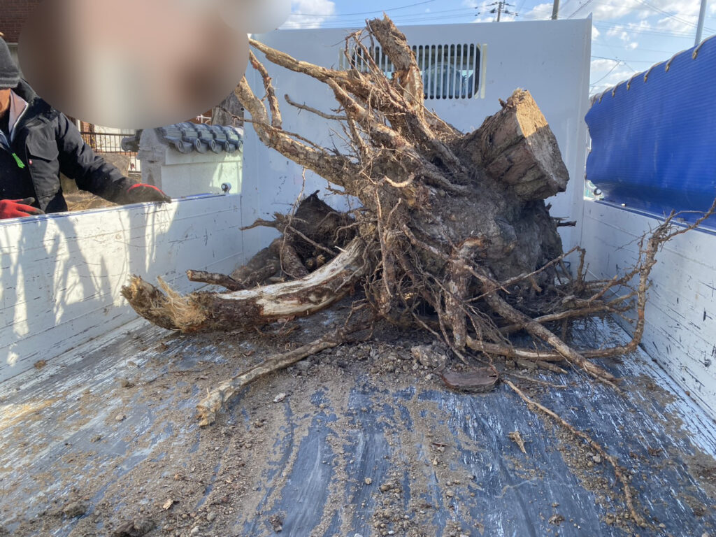 【香川町Ｈ様邸】駐車場拡張＆庭じまい工事｜既存の門柱も撤去完了👌伐根や庭石撤去が進んでいます (株)カインズガーデン