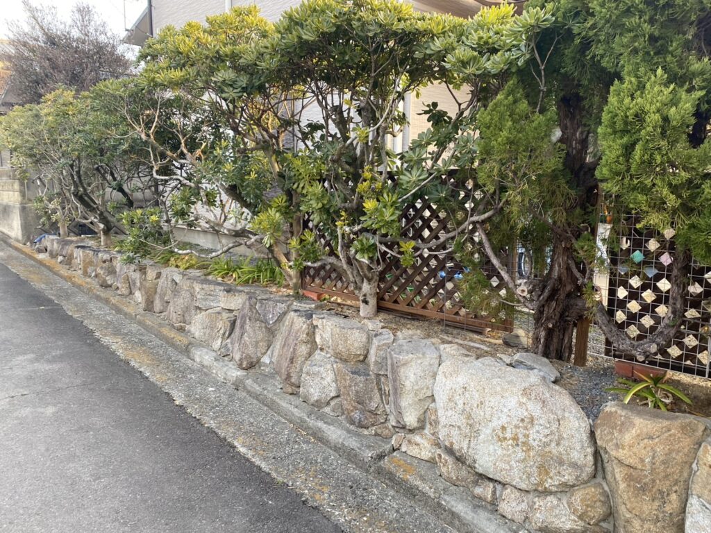【綾川町Ｓ様邸】庭じまい工事着工⛑｜生垣・庭木・庭石を撤去し、スッキリ雑草対策仕上げにします (株)カインズガーデン